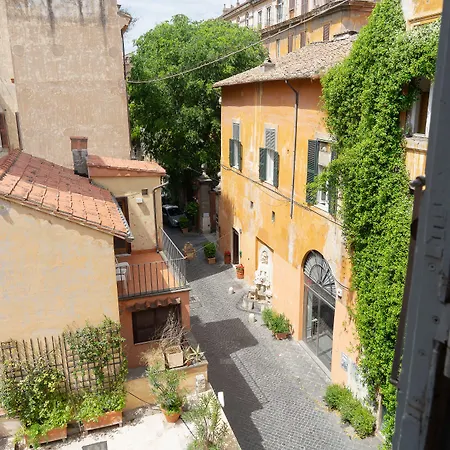 Babuino 79-3